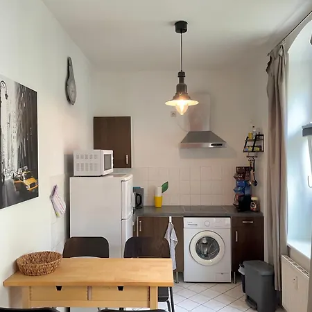 Ruhige Wohnung Beim Dresdner Panometer Mit Gratis Parkplatz Dresden Exterior photo